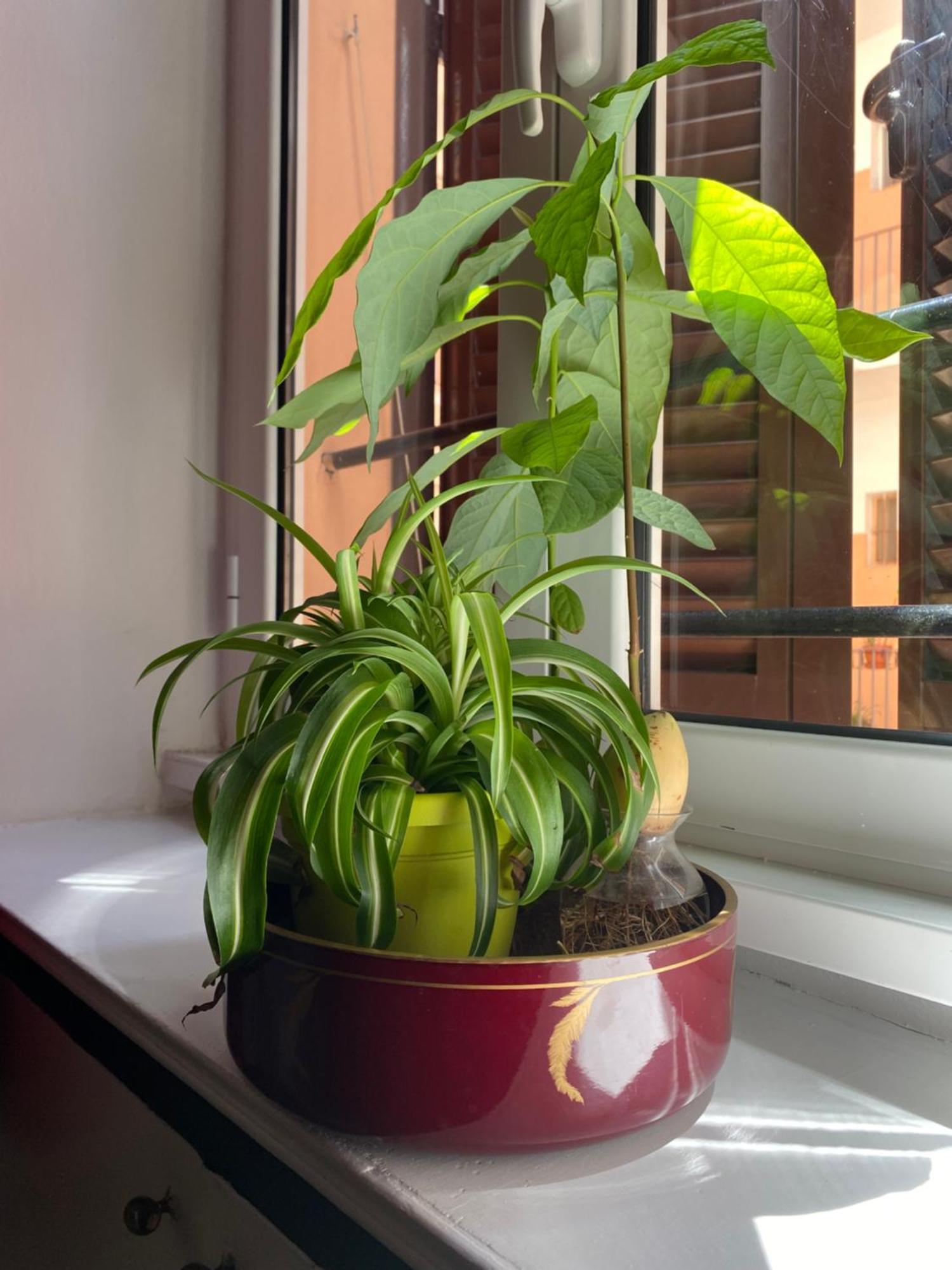 Porta Labicana House -10 Minutes From Termini Station Rom